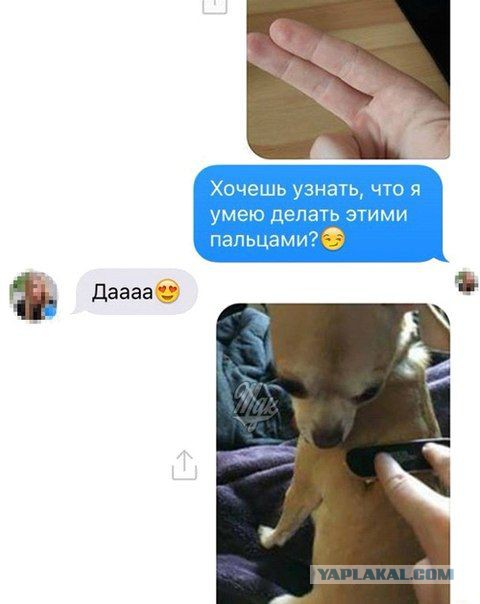 Немного картинок