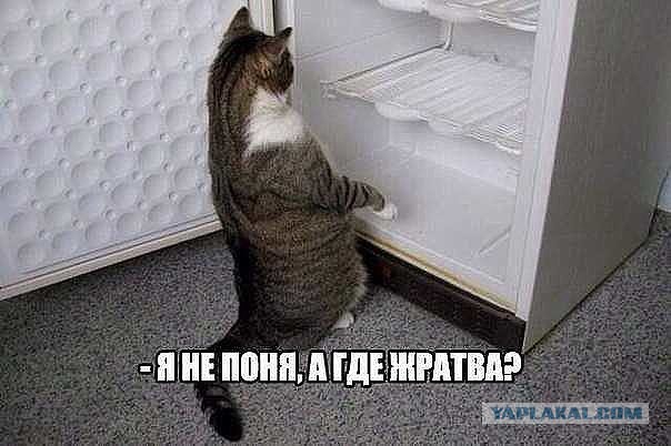 Пойдем братан, нам покушать принесли