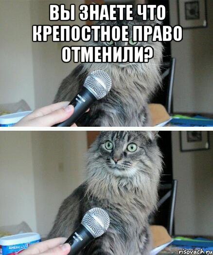 А какие сейчас доходы у простых мужиков по стране?