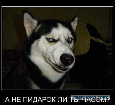 В Сирии в результате обстрела госпиталя погиб российский медик...