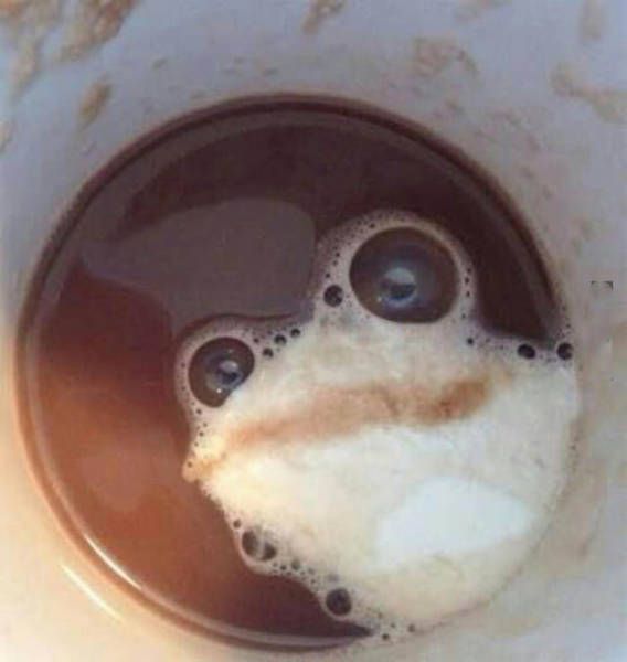 Доза фотокартинок