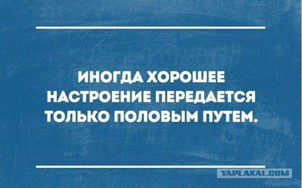 Картинки из мусорной корзинки