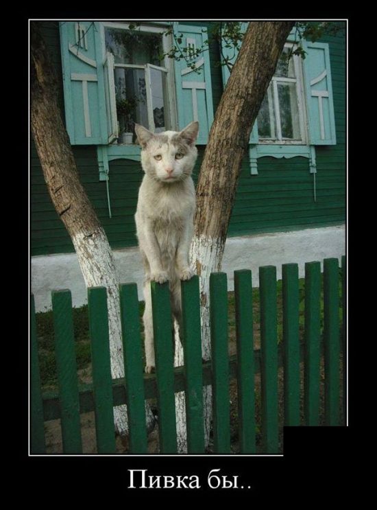 Пятничный полтинничек всем