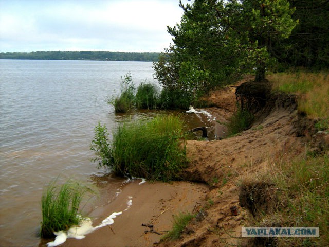 Деревня Девкино. Боровичский район Новгородской области. Фотоподборка.