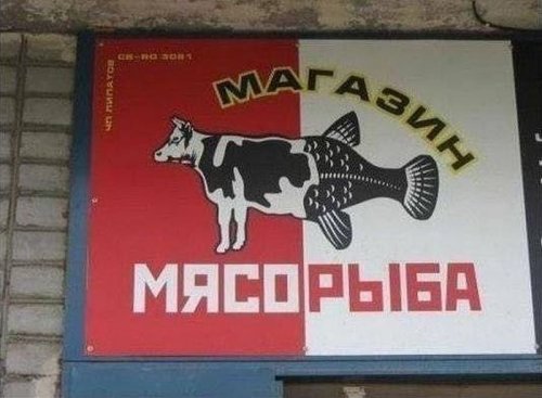 Подборка безудержного веселья
