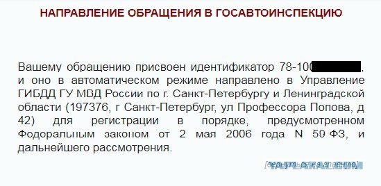 Как я стал крысой