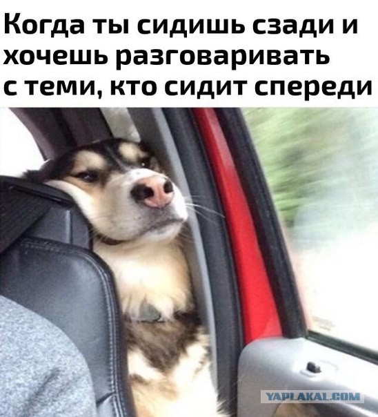 Подборка интересных и веселых картинок