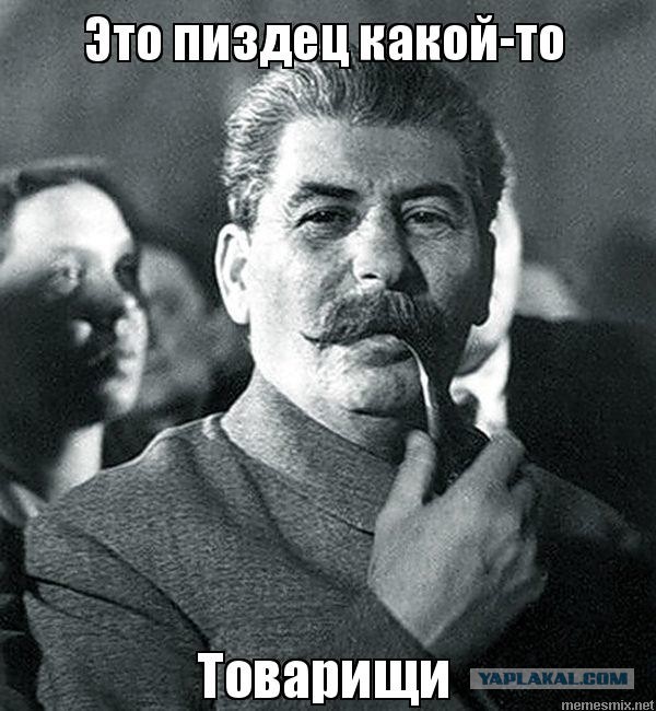 Сенатор призвала не желающих выживать на 3500 рублей помнить об ужасах войны