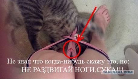 Даже не вздумай..