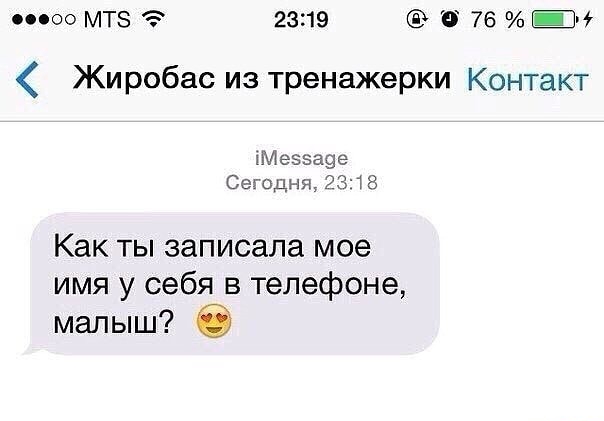 Применим физику в постели или белка и стрелка. Картинки