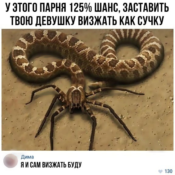 Краденые картинки
