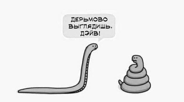 Картинки с надписями, истории и анекдоты 08.11.19