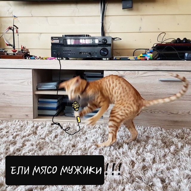 Субботняя фотоподборка 23.11.2019