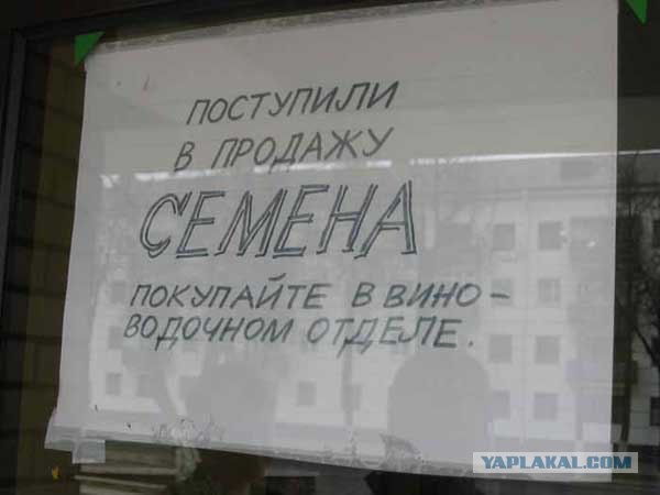 Прикольные объявления