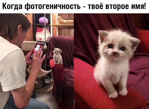 Картинки разные 4.12.19.