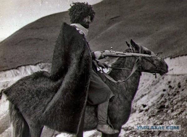 Свадьба со стрельбой и конницей всколыхнула общество в Ингушетии. В Сети обсуждают свадьбу со стрельбой