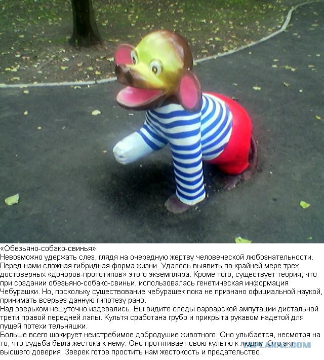 Страх и ужас на детской площадке
