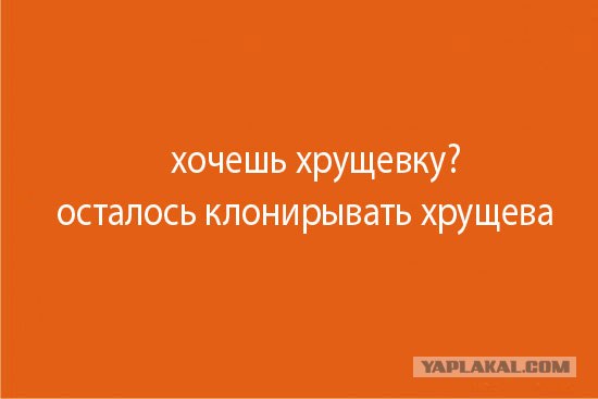 Фотожаба: осталось родить сына?