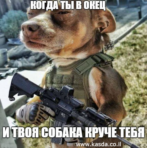 Краса Израиля - Дана Фесенко