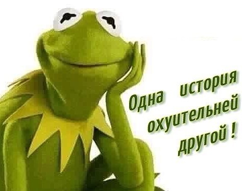 «Опять этот дурак звонил». Когда забывают выключить телефон