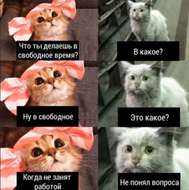 Да как вы вообще знакомитесь в интернете?