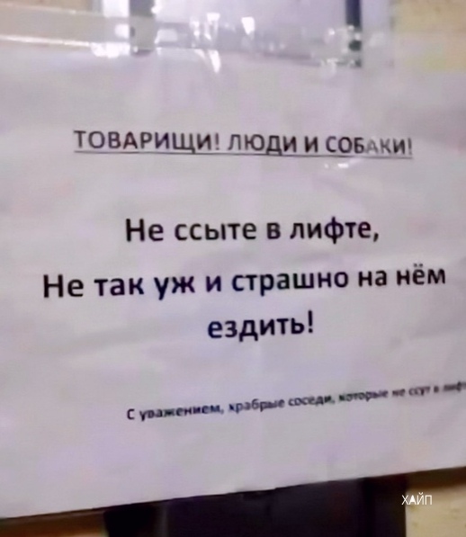 Баянисто-небаянистый юмор 15.11.20