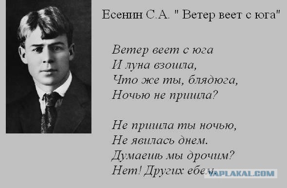 Стихо+картинки