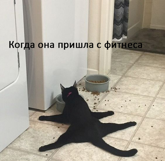Женщины - они как кошки № 2