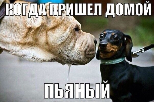 Отовсюду обо всем