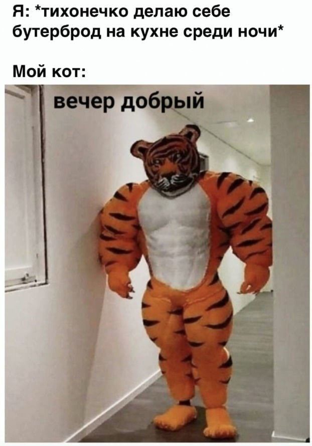 Весёлый полтишок 13.03