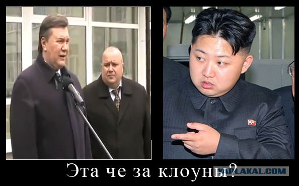 Янукович о медицине