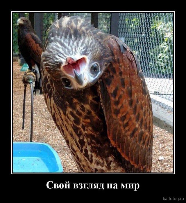Весёлый полтишок 5.05