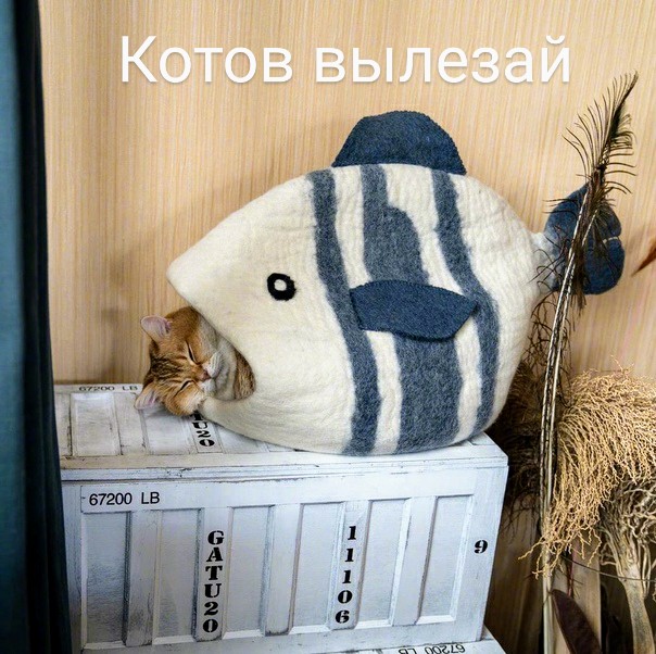 Картинки и мемы, всем прекрасных выходных