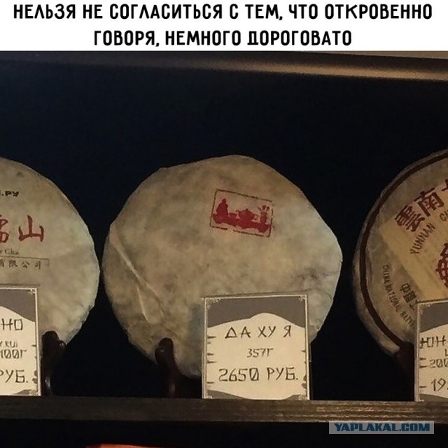 Картинки и мемы для настроения - 22