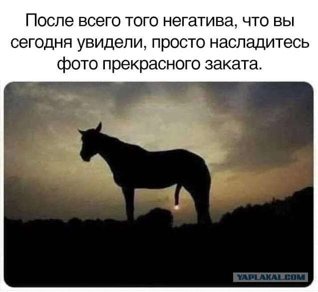 50 оттенков серого Vol.5 . Или самосвал баянов