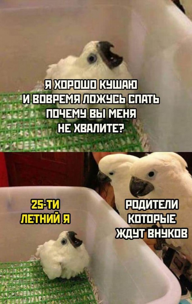 Юмор и приколы из социальных сетей