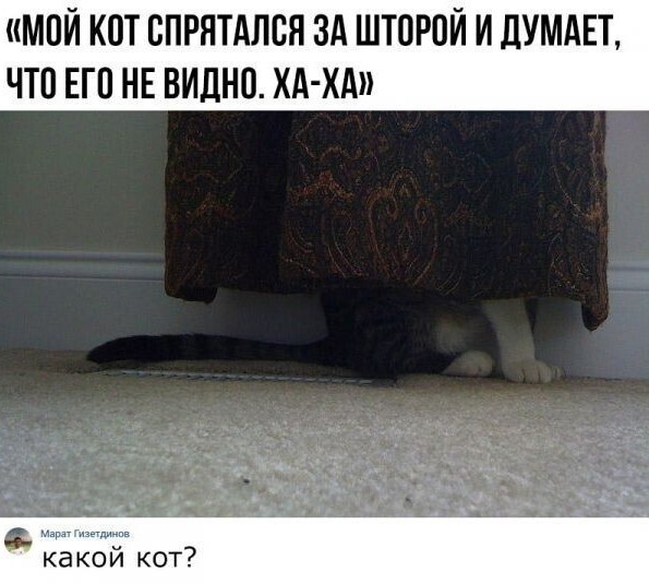 Картинки и мемы для настроения - 23