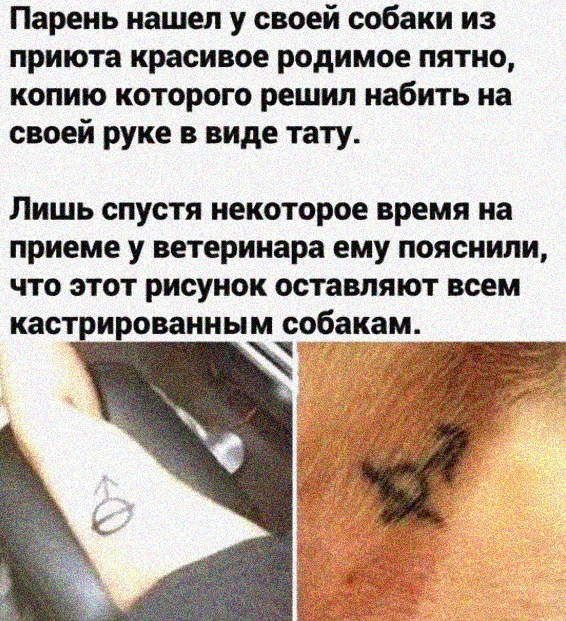 Немного картинок."Колбасный ветер". Август