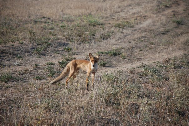 Мыс Тарханкут - самая западная точка Крыма.