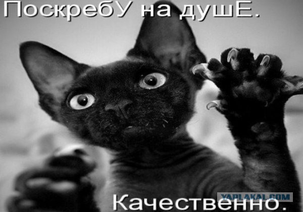 Мемчики. Опишите одним мемом, как дела, что на душе?
