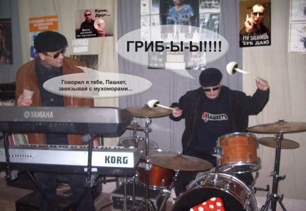 Священнослужитель насмерть объелся мухоморами в Подмосковье