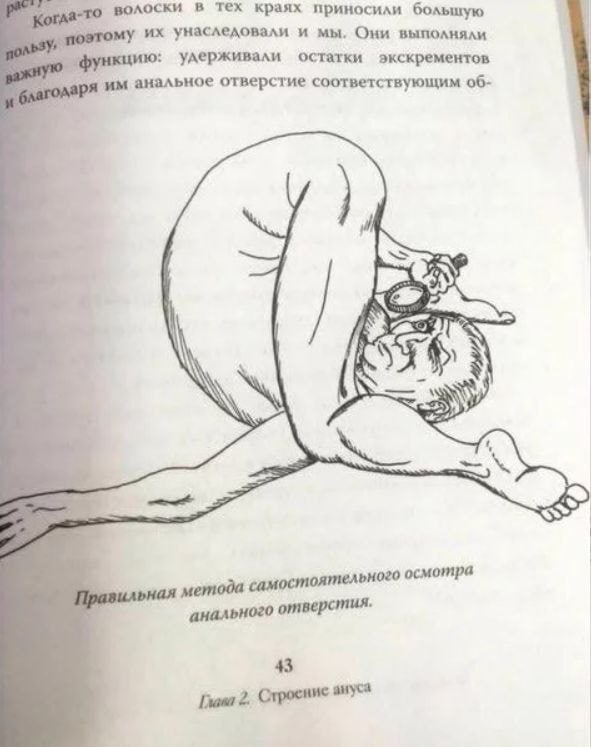 Весёлая проктология для деградантов