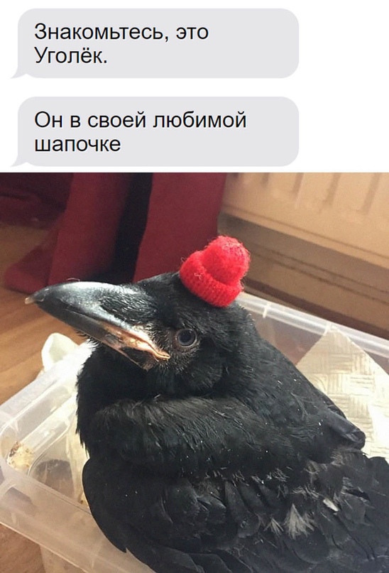Немного картинок для настроения - 135