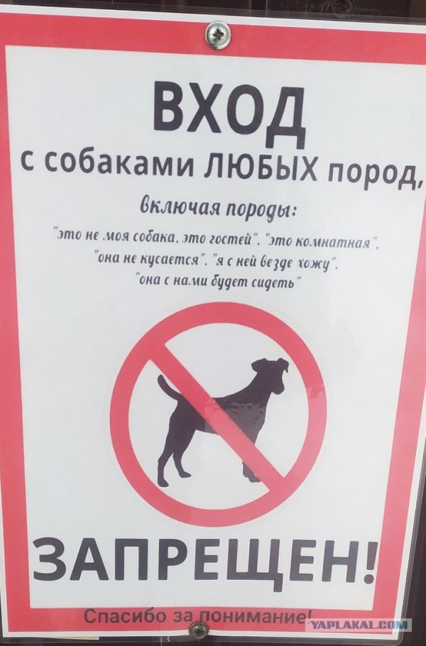 В Госдуме предложили отслеживать по камерам не убирающих за питомцами хозяев