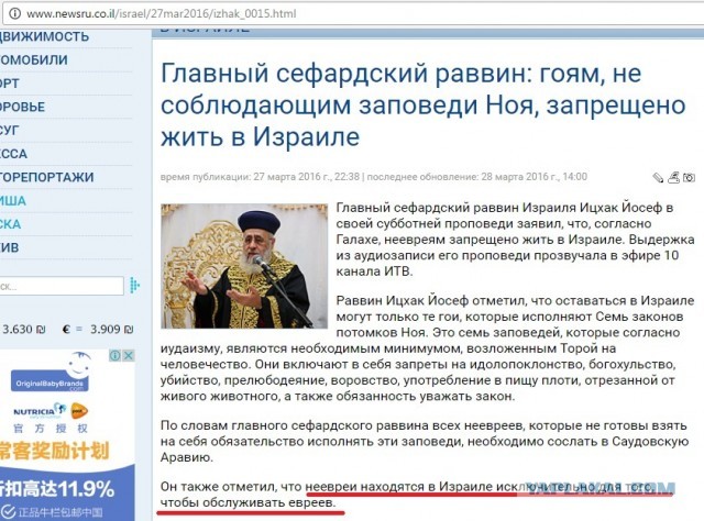 Депутат Яровая, Минюст, российский омбудсмен и глава СПЧ предложили ввести уголовное наказание за русофобию