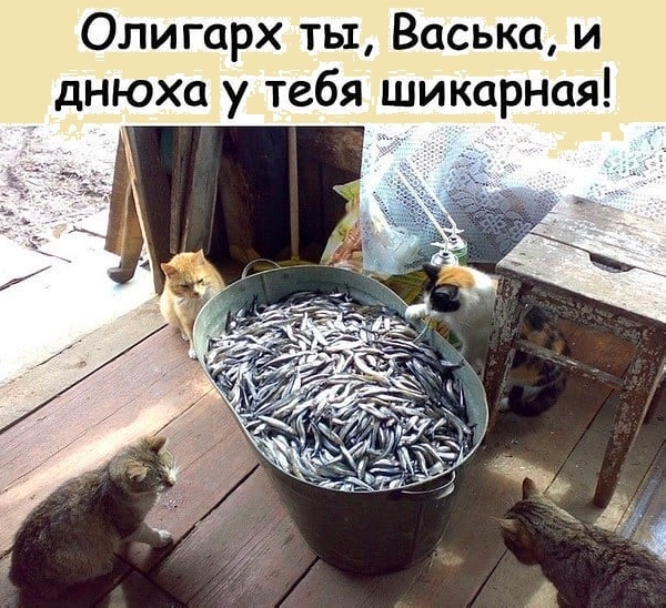 Скупка краденого из сети 06-06-2023