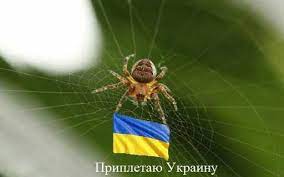 Про детей инвалидов.