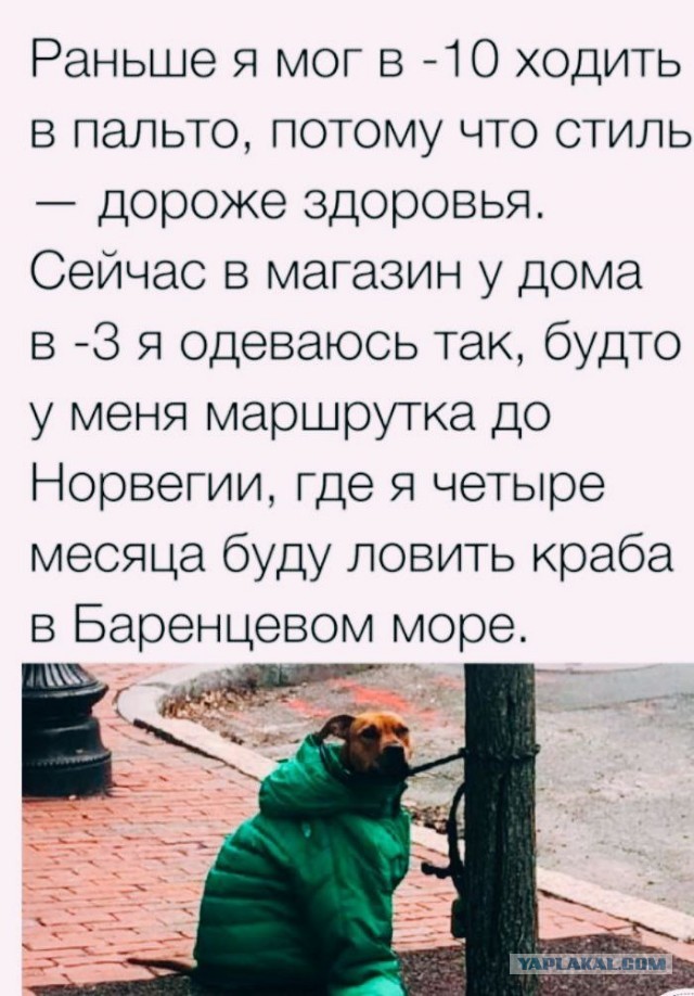 Чуток картинок