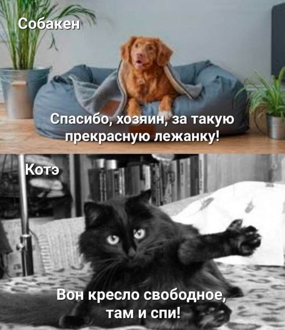Дело было вечером, выпить было нечего 2