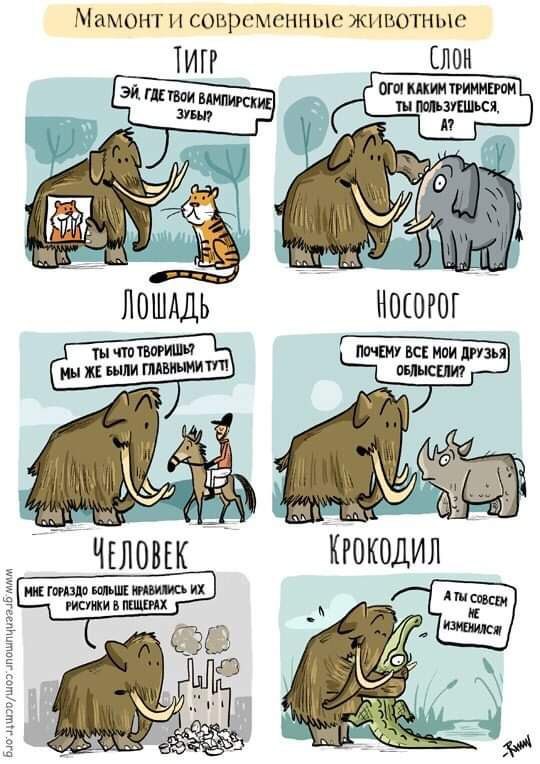 Никакие картинки